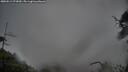 ./images/calvert/fitz-hugh-hecate/20250511/fitz-hugh-hecate20250511_072010M.jpg