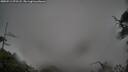 ./images/calvert/fitz-hugh-hecate/20250511/fitz-hugh-hecate20250511_072508M.jpg