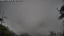 ./images/calvert/fitz-hugh-hecate/20250511/fitz-hugh-hecate20250511_073010M.jpg
