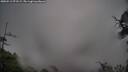 ./images/calvert/fitz-hugh-hecate/20250511/fitz-hugh-hecate20250511_073508M.jpg