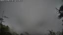 ./images/calvert/fitz-hugh-hecate/20250511/fitz-hugh-hecate20250511_074009M.jpg