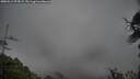 ./images/calvert/fitz-hugh-hecate/20250511/fitz-hugh-hecate20250511_074509M.jpg