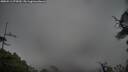 ./images/calvert/fitz-hugh-hecate/20250511/fitz-hugh-hecate20250511_075009M.jpg