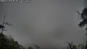 ./images/calvert/fitz-hugh-hecate/20250511/fitz-hugh-hecate20250511_075510M.jpg