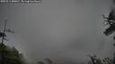 ./images/calvert/fitz-hugh-hecate/20250511/fitz-hugh-hecate20250511_080010M.jpg