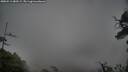 ./images/calvert/fitz-hugh-hecate/20250511/fitz-hugh-hecate20250511_080508M.jpg