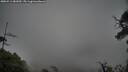 ./images/calvert/fitz-hugh-hecate/20250511/fitz-hugh-hecate20250511_081010M.jpg