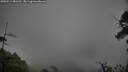 ./images/calvert/fitz-hugh-hecate/20250511/fitz-hugh-hecate20250511_081510M.jpg