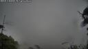 ./images/calvert/fitz-hugh-hecate/20250511/fitz-hugh-hecate20250511_083010M.jpg