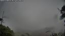 ./images/calvert/fitz-hugh-hecate/20250511/fitz-hugh-hecate20250511_083508M.jpg