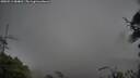 ./images/calvert/fitz-hugh-hecate/20250511/fitz-hugh-hecate20250511_084010M.jpg