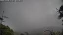 ./images/calvert/fitz-hugh-hecate/20250511/fitz-hugh-hecate20250511_084509M.jpg