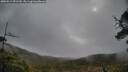 ./images/calvert/fitz-hugh-hecate/20250511/fitz-hugh-hecate20250511_091510M.jpg