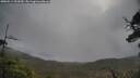 ./images/calvert/fitz-hugh-hecate/20250511/fitz-hugh-hecate20250511_092009M.jpg