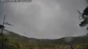./images/calvert/fitz-hugh-hecate/20250511/fitz-hugh-hecate20250511_092509M.jpg