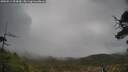 ./images/calvert/fitz-hugh-hecate/20250511/fitz-hugh-hecate20250511_093011M.jpg