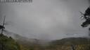 ./images/calvert/fitz-hugh-hecate/20250511/fitz-hugh-hecate20250511_093508M.jpg