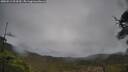 ./images/calvert/fitz-hugh-hecate/20250511/fitz-hugh-hecate20250511_094510M.jpg