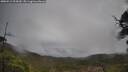 ./images/calvert/fitz-hugh-hecate/20250511/fitz-hugh-hecate20250511_095010M.jpg