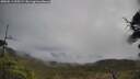 ./images/calvert/fitz-hugh-hecate/20250511/fitz-hugh-hecate20250511_095509M.jpg
