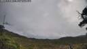 ./images/calvert/fitz-hugh-hecate/20250511/fitz-hugh-hecate20250511_100009M.jpg