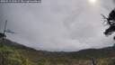 ./images/calvert/fitz-hugh-hecate/20250511/fitz-hugh-hecate20250511_100509M.jpg