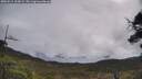 ./images/calvert/fitz-hugh-hecate/20250511/fitz-hugh-hecate20250511_102009M.jpg