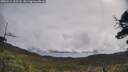 ./images/calvert/fitz-hugh-hecate/20250511/fitz-hugh-hecate20250511_102508M.jpg