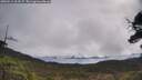 ./images/calvert/fitz-hugh-hecate/20250511/fitz-hugh-hecate20250511_103507M.jpg