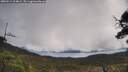 ./images/calvert/fitz-hugh-hecate/20250511/fitz-hugh-hecate20250511_104009M.jpg