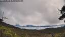 ./images/calvert/fitz-hugh-hecate/20250511/fitz-hugh-hecate20250511_104510M.jpg