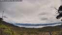 ./images/calvert/fitz-hugh-hecate/20250511/fitz-hugh-hecate20250511_110509M.jpg