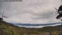 ./images/calvert/fitz-hugh-hecate/20250511/fitz-hugh-hecate20250511_111010M.jpg