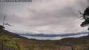 ./images/calvert/fitz-hugh-hecate/20250511/fitz-hugh-hecate20250511_111508M.jpg