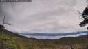./images/calvert/fitz-hugh-hecate/20250511/fitz-hugh-hecate20250511_112509M.jpg