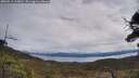 ./images/calvert/fitz-hugh-hecate/20250511/fitz-hugh-hecate20250511_113010M.jpg