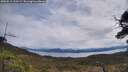 ./images/calvert/fitz-hugh-hecate/20250511/fitz-hugh-hecate20250511_113509M.jpg