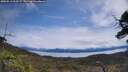 ./images/calvert/fitz-hugh-hecate/20250511/fitz-hugh-hecate20250511_115507M.jpg