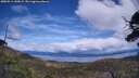 ./images/calvert/fitz-hugh-hecate/20250511/fitz-hugh-hecate20250511_140009M.jpg