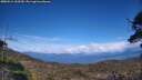 ./images/calvert/fitz-hugh-hecate/20250511/fitz-hugh-hecate20250511_163510M.jpg