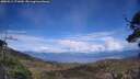./images/calvert/fitz-hugh-hecate/20250511/fitz-hugh-hecate20250511_171010M.jpg