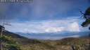 ./images/calvert/fitz-hugh-hecate/20250511/fitz-hugh-hecate20250511_173010M.jpg