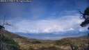 ./images/calvert/fitz-hugh-hecate/20250511/fitz-hugh-hecate20250511_175009M.jpg