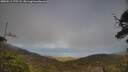 ./images/calvert/fitz-hugh-hecate/20250511/fitz-hugh-hecate20250511_175508M.jpg