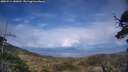 ./images/calvert/fitz-hugh-hecate/20250511/fitz-hugh-hecate20250511_180011M.jpg