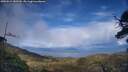 ./images/calvert/fitz-hugh-hecate/20250511/fitz-hugh-hecate20250511_180510M.jpg