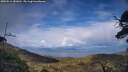 ./images/calvert/fitz-hugh-hecate/20250511/fitz-hugh-hecate20250511_181010M.jpg