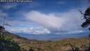 ./images/calvert/fitz-hugh-hecate/20250511/fitz-hugh-hecate20250511_185507M.jpg