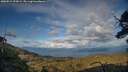 ./images/calvert/fitz-hugh-hecate/20250511/fitz-hugh-hecate20250511_193009M.jpg