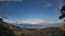 ./images/calvert/fitz-hugh-hecate/20250511/fitz-hugh-hecate20250511_195508M.jpg